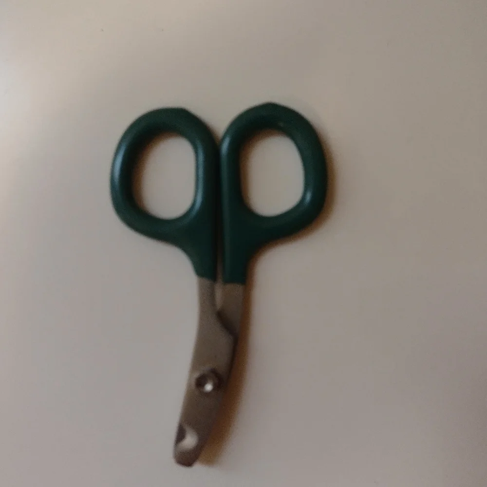 Kong Replacement Squeakers and Small Nail Clippers